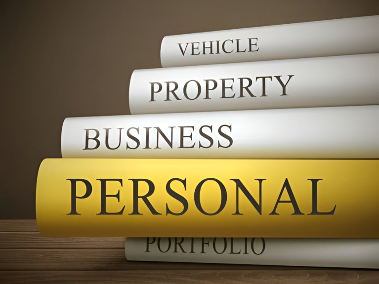 What Does "No PPSR Registration" Actually Mean?